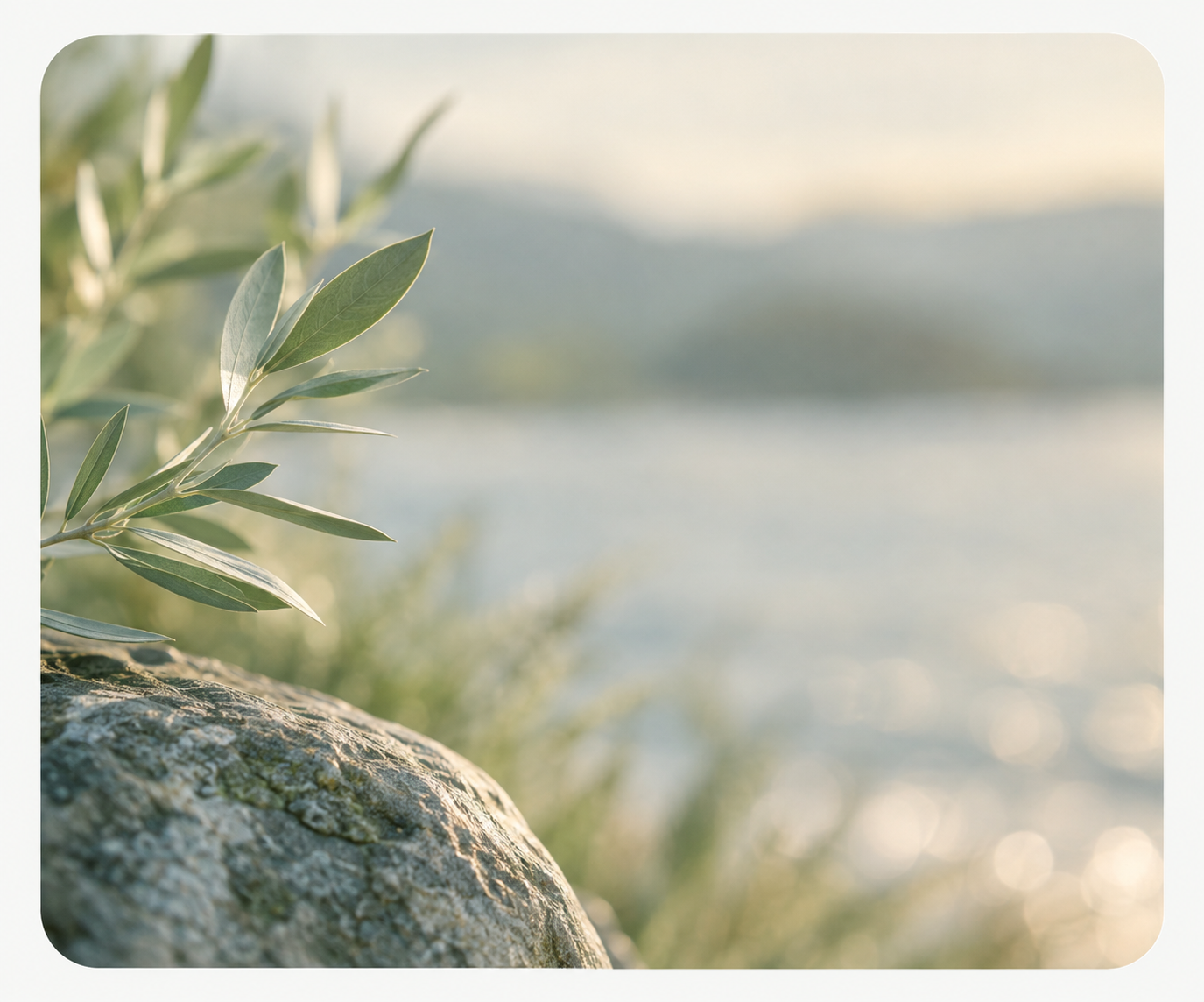 Peaceful natural setting